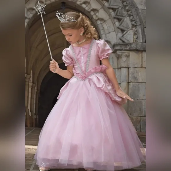 Chasing Fireflies Sweet Fairy Princess costume like new!